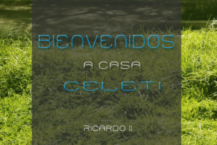Explore Celeti: A Playfully Conceptual Display Font