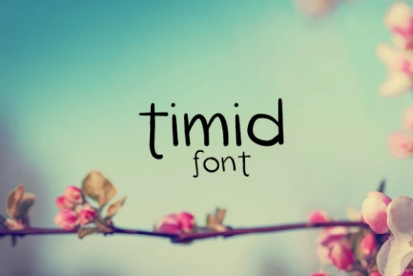 Timid: A Charming Display Font for Editorial Design
